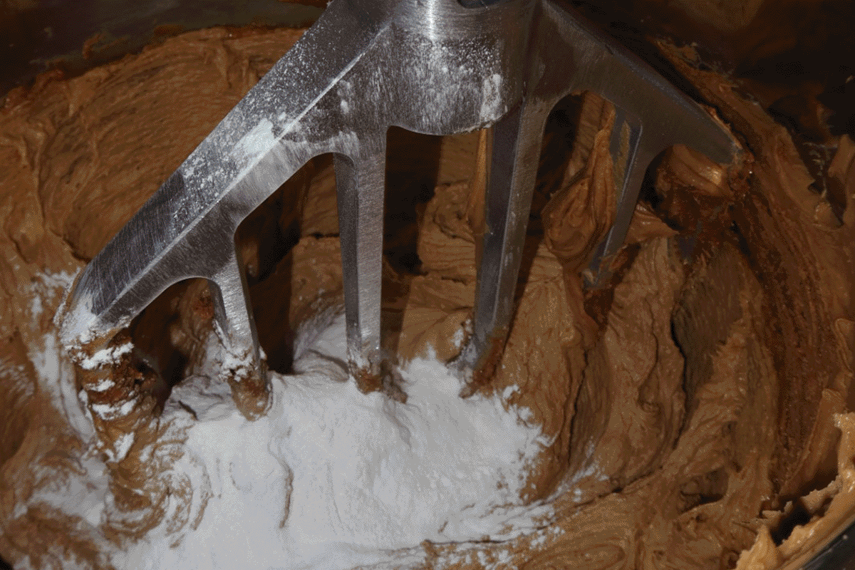 Step 1: Building the Foundation