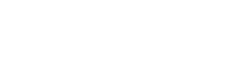 SKILLETS SNACKS